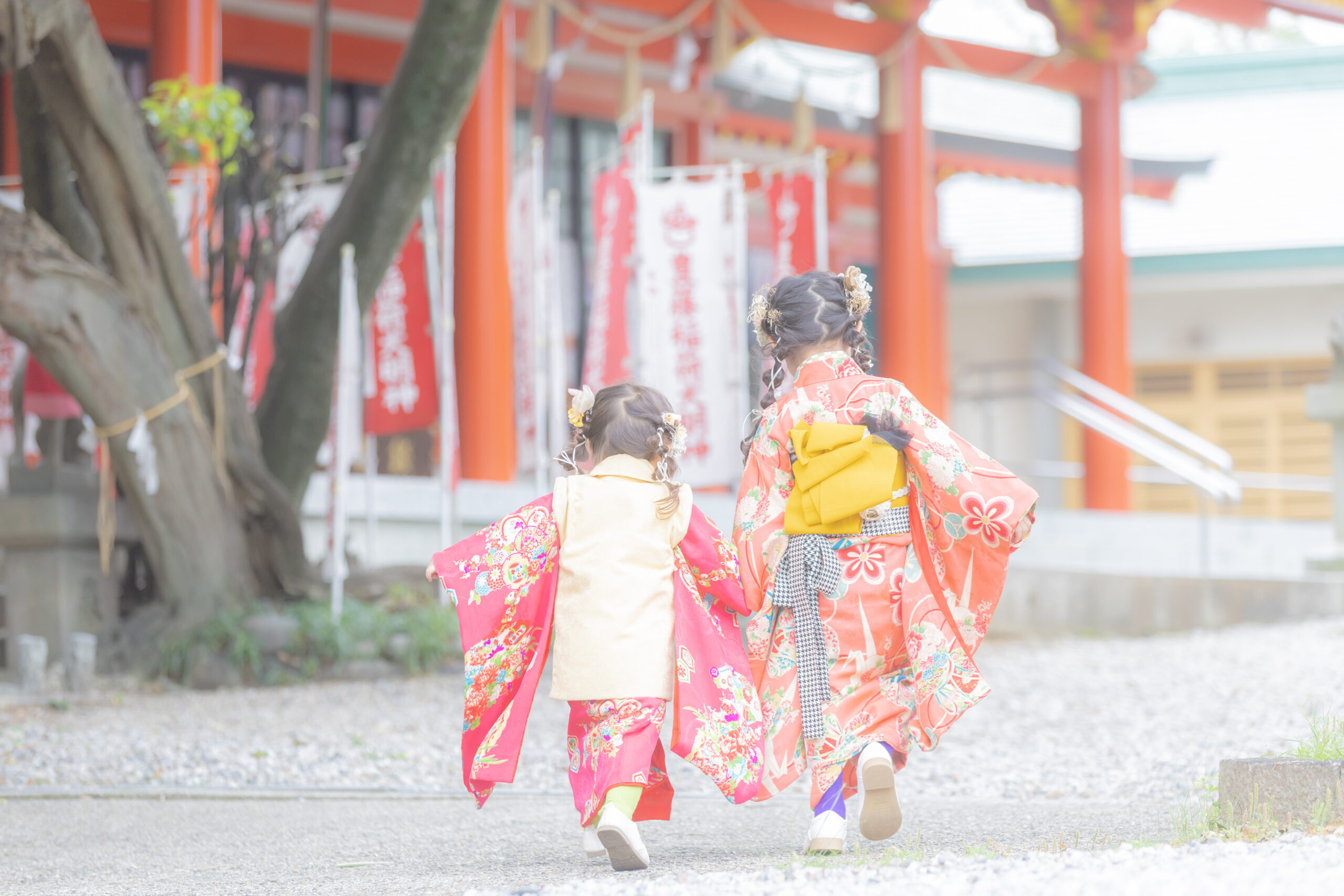 5/18限定｜豊藤稲荷神社で七五三撮影