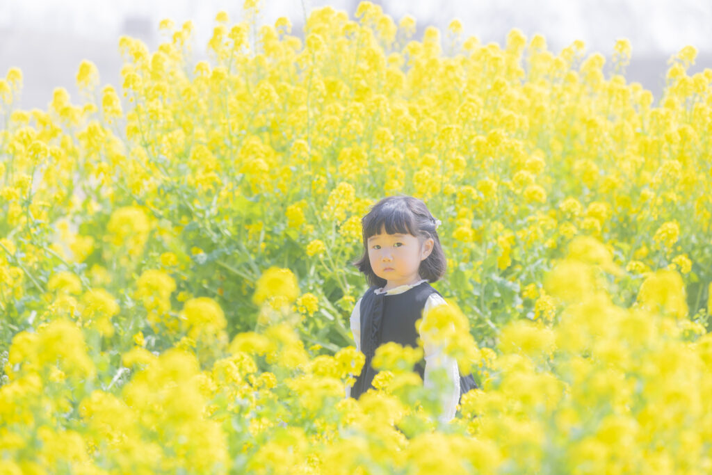 菜の花の季節のロケーション撮影
